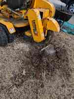 Down to Earth Stump Grinding and Tree Care