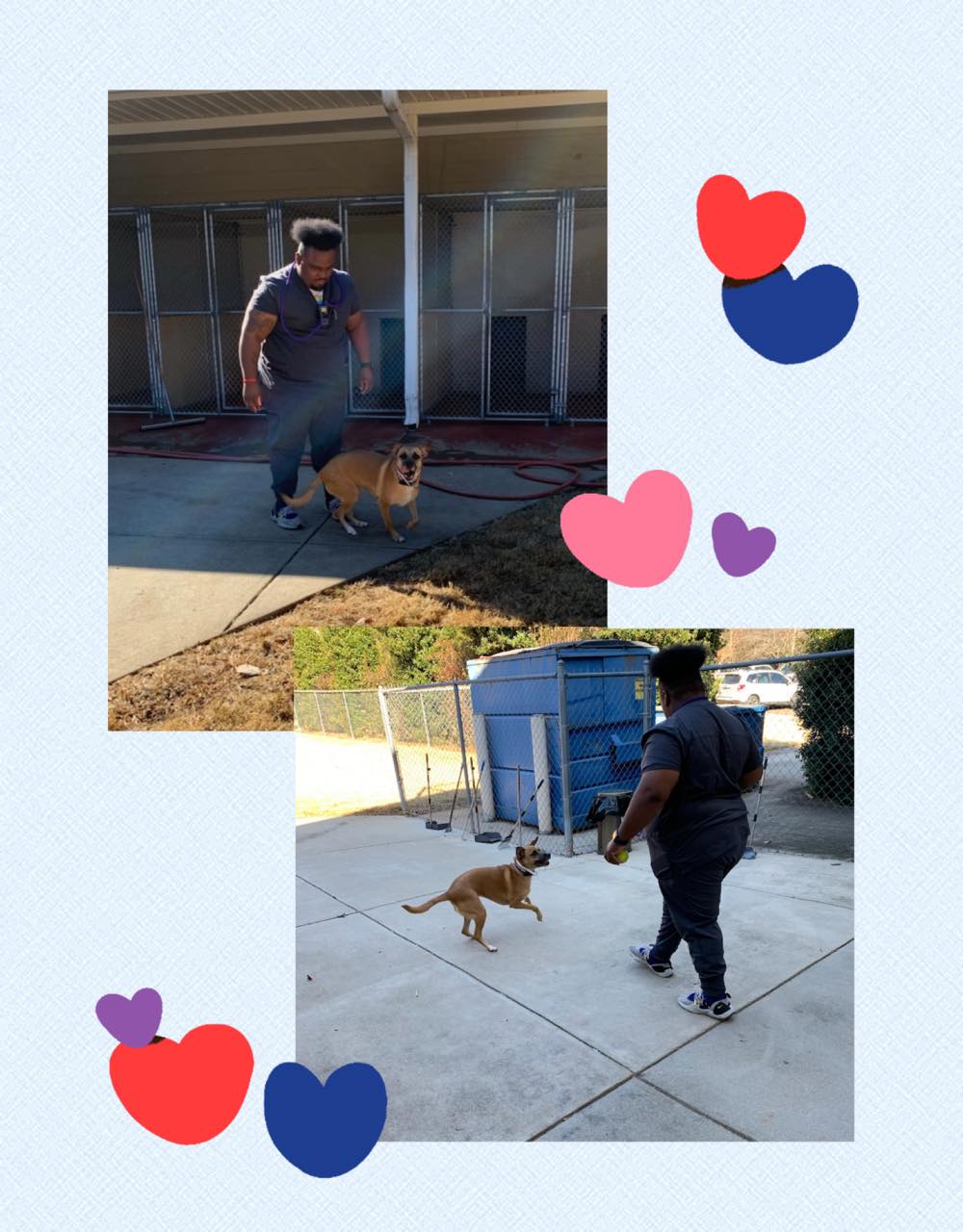 Catawba Animal Clinic Pa: Privette Melissa DVM Rock Hill