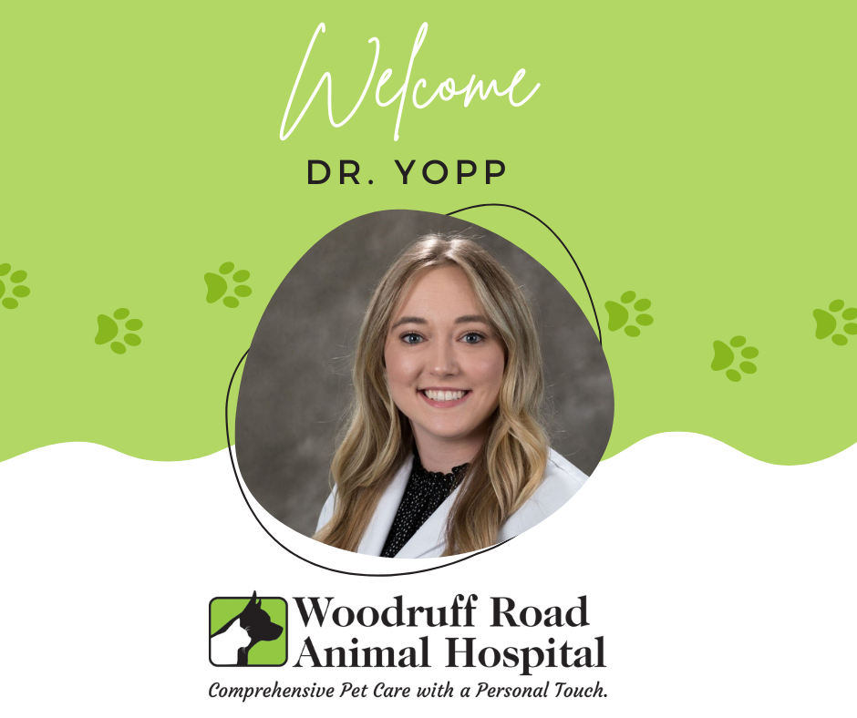 Woodruff Road Animal Hospital: Johnson Lauren DVM Simpsonville