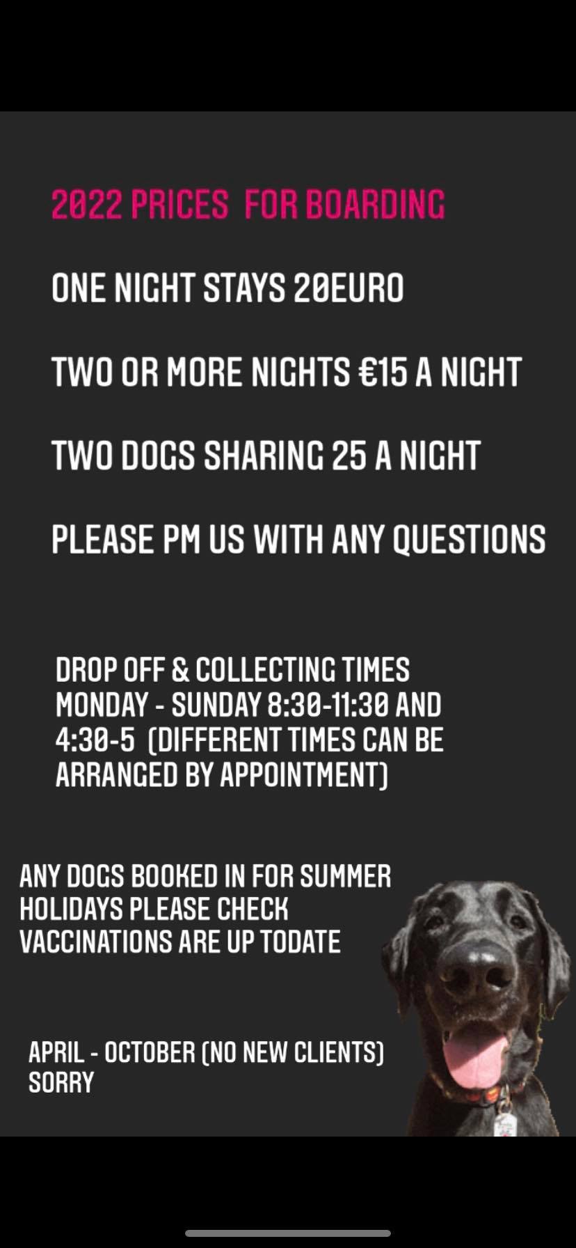 Pampered Paws Dog Grooming Surfside Beach