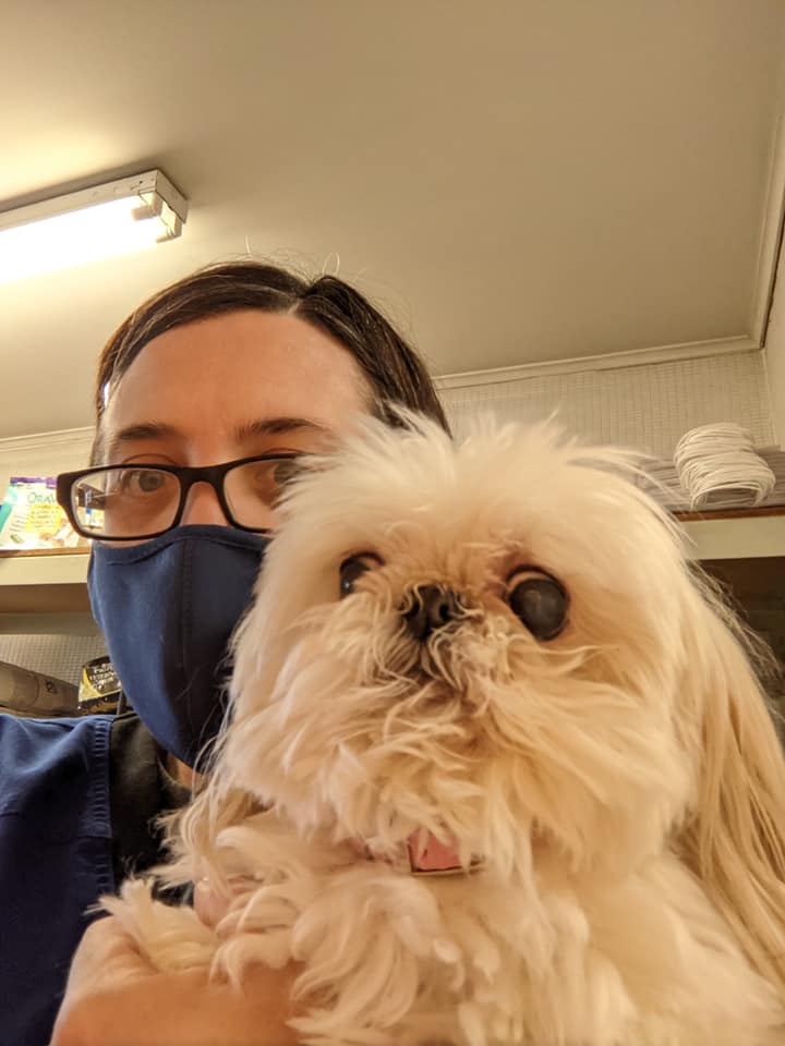 Black Hills Animal Hospital Rapid City