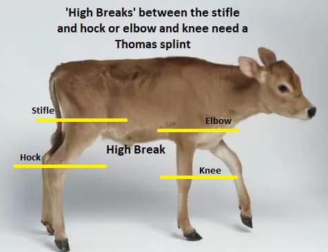 Prairie View Veterinary Clinic Redfield