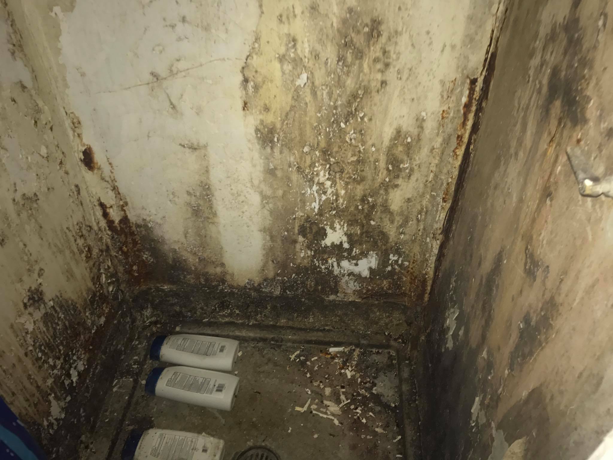 MOLD TOX Testing & Remediation, LLC 1510 US-25 E, Bean Station Tennessee 37708