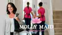 Molly Maid of Hamilton County