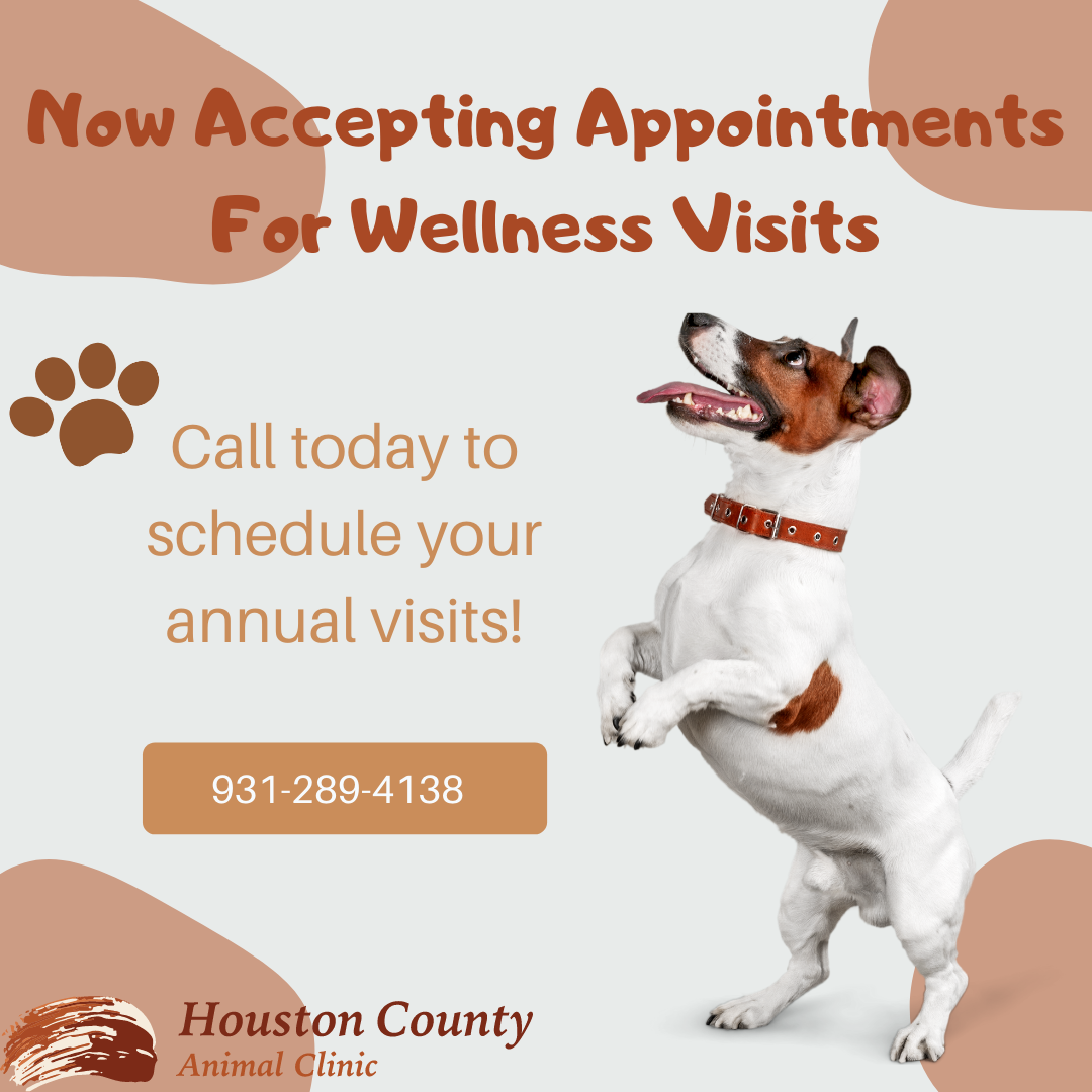 Houston County Animal Clinic: Kimmitt Emily DVM 4050 W Main St, Erin Tennessee 37061