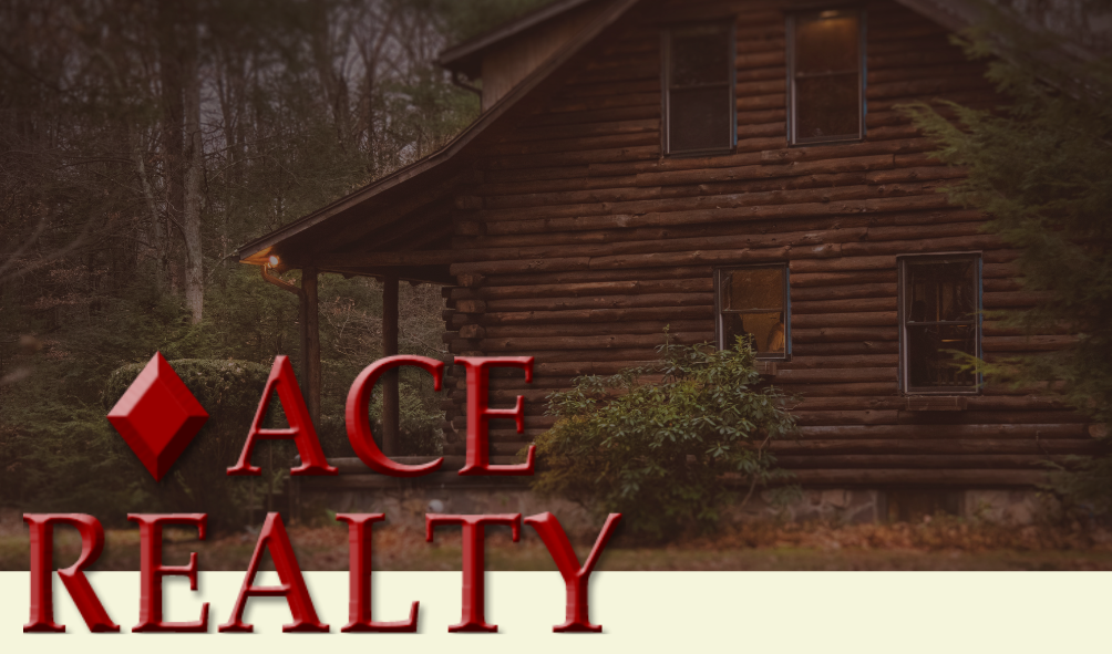 Ace Realty 202 W Main St, Mountain City Tennessee 37683