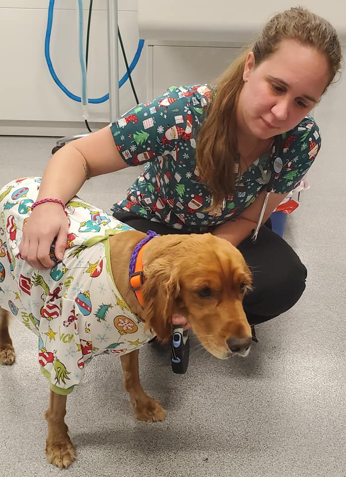 Anderson Brian DVM Newport