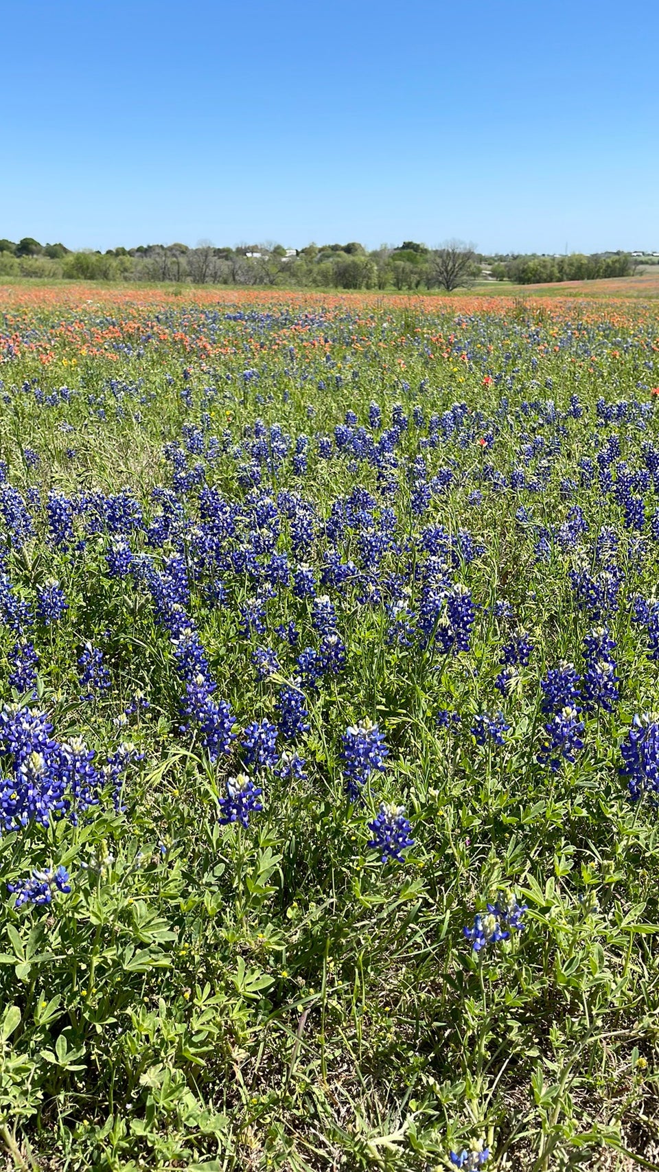 Pleasant Hill Winery