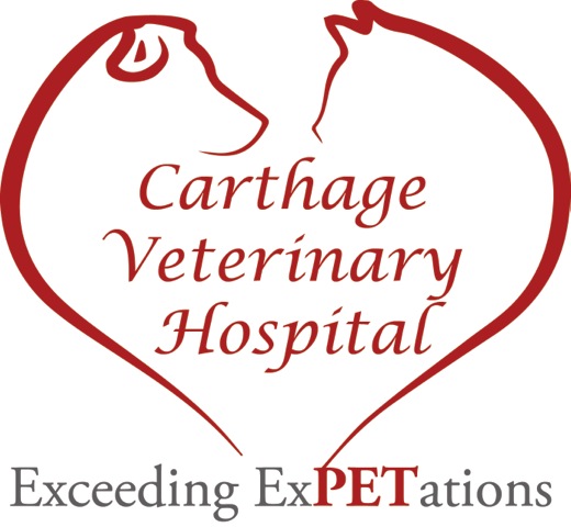 Carthage Veterinary Hospital 59 1024 U.S., Carthage Texas 75633