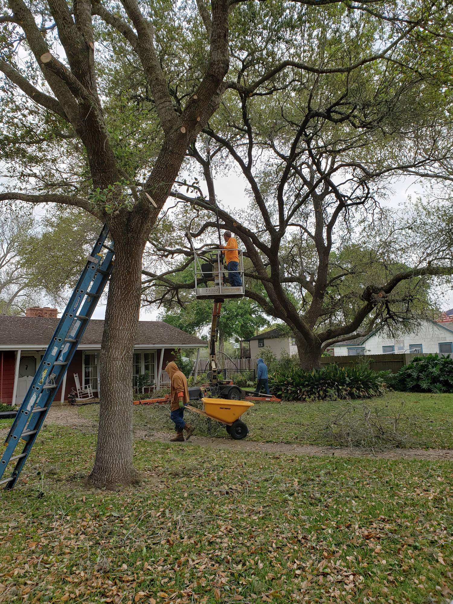 R J K's Tree Trimming & Removal El Campo Texas 