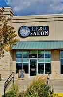 Live Free & Dye Salon