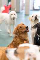 Best Friends Doggy Daycare & Spa