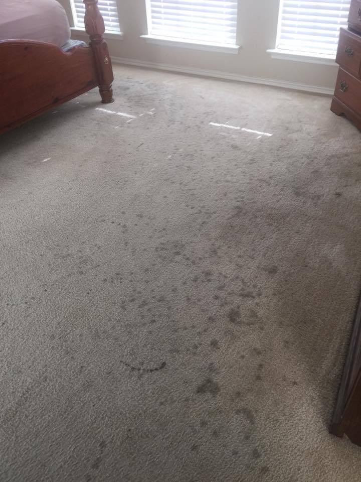 D & P Carpet Cleaning 125 Big Sandy Ln, Lancaster Texas 75146