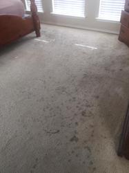 D & P Carpet Cleaning