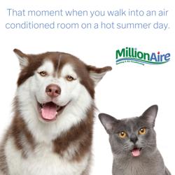 MillionAire Heating, Air, and Plumbing