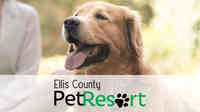 Ellis County Pet Resort
