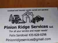 Pinion ridge services