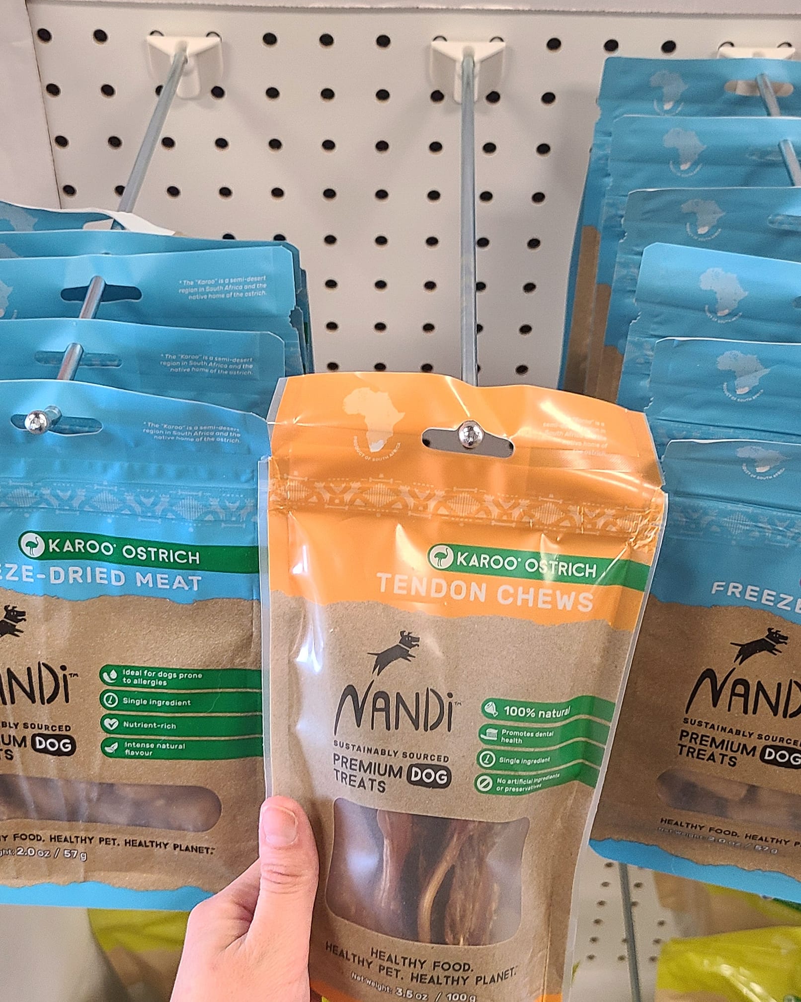 Desert Raw Holistic Pet Millcreek