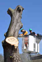 West Jordan Tree Service