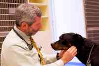 Leesburg Veterinary Internal Medicine
