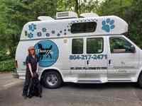 Shear Joy Mobile Dog Grooming by Melody