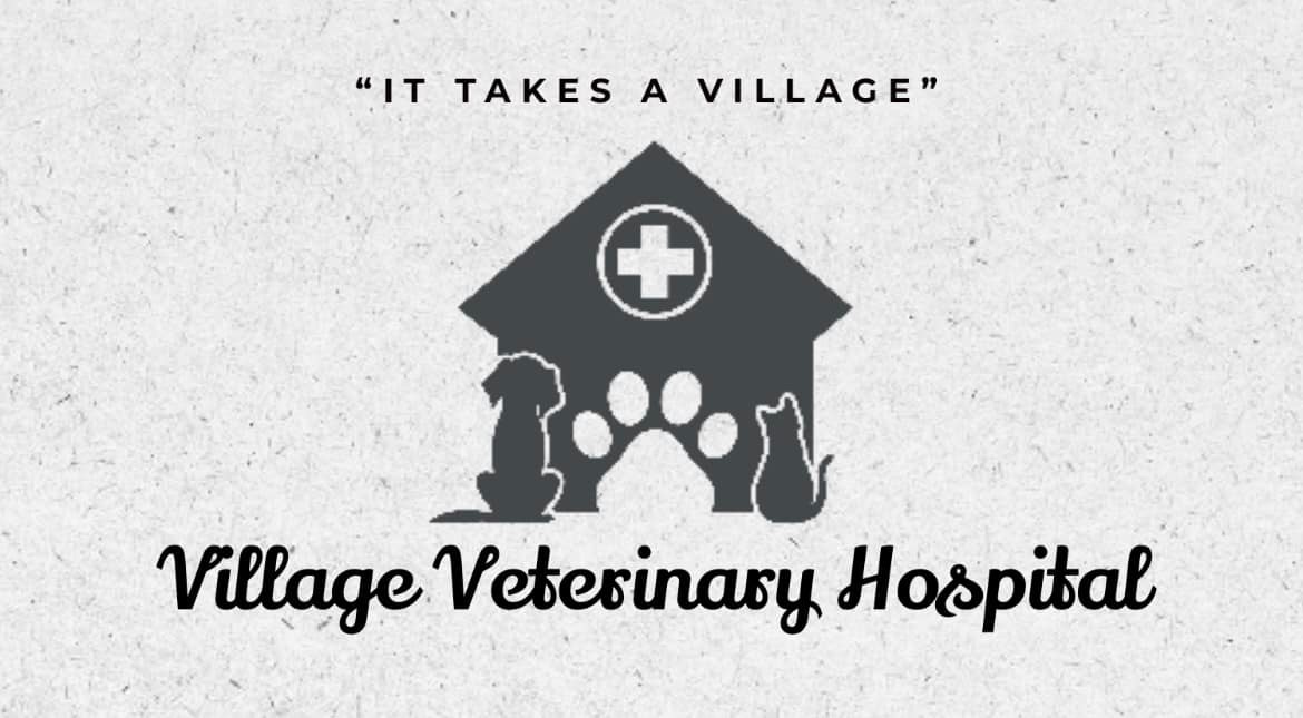 Village Veterinary Hospital 10500 New Kent Hwy E, New Kent Virginia 23124