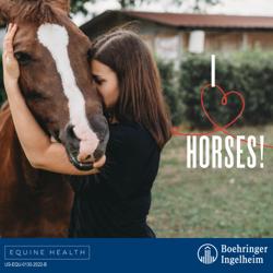 Deer Creek Equine Clinic