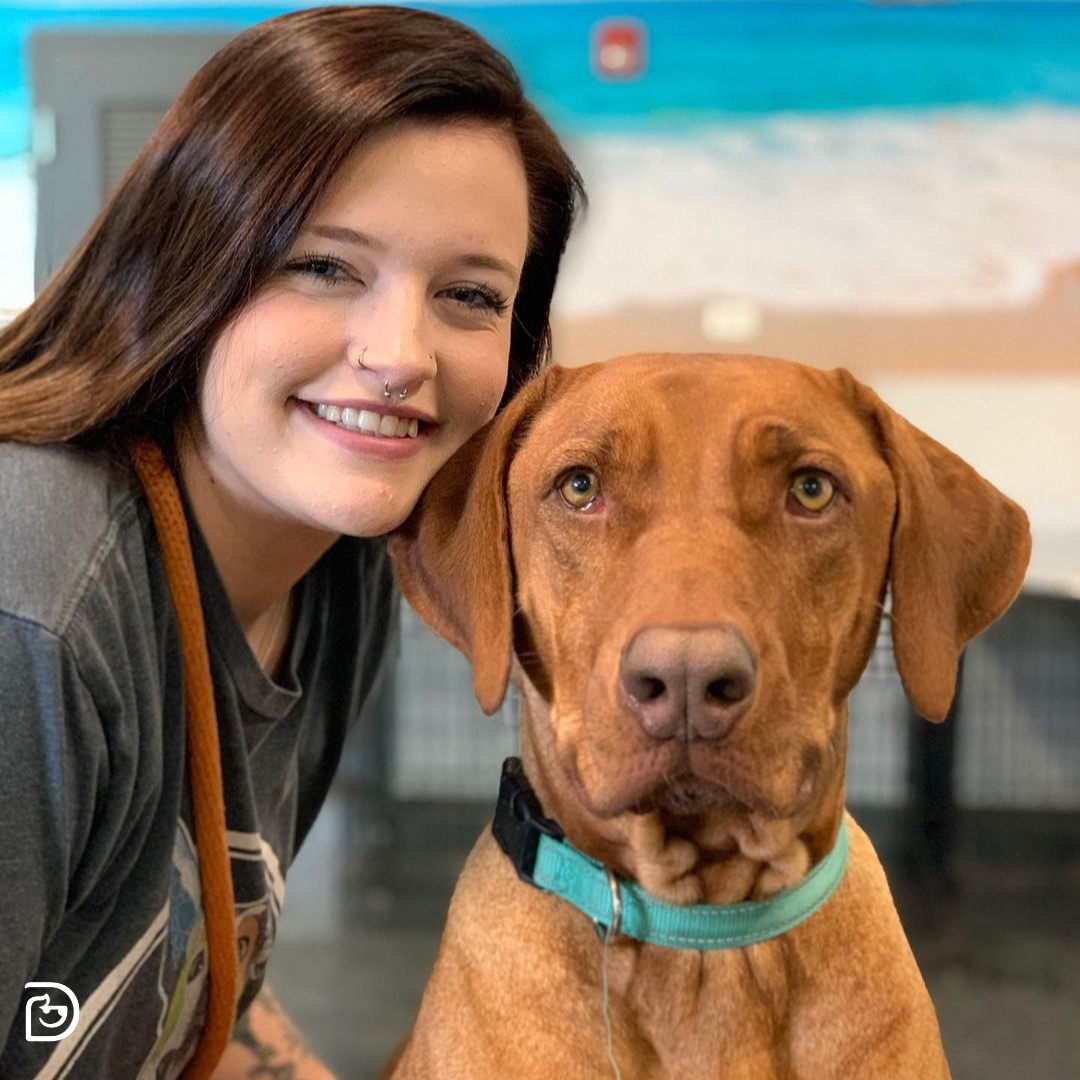 Dogtopia of Woodbridge Woodbridge