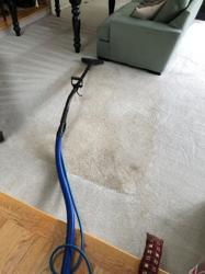 Simple Steam Carpet Cleaning Kirkland