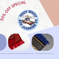 Fuzzy Wuzzy Rug Cleaning Company