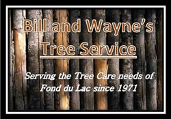 Bill and Wayne Tree Service