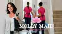 MOLLY MAID of Southern Milwaukee County