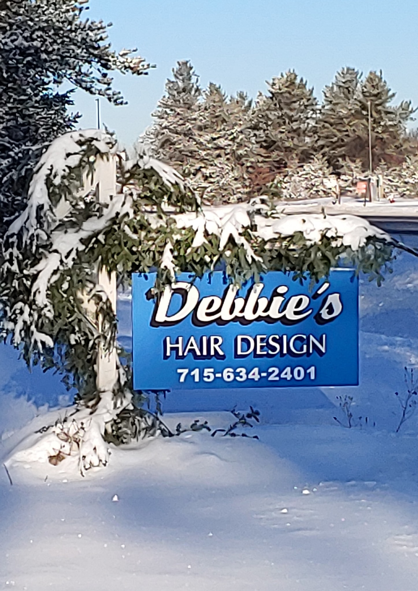 Debbie's Hair Design 15529 WI-77, Hayward Wisconsin 54843