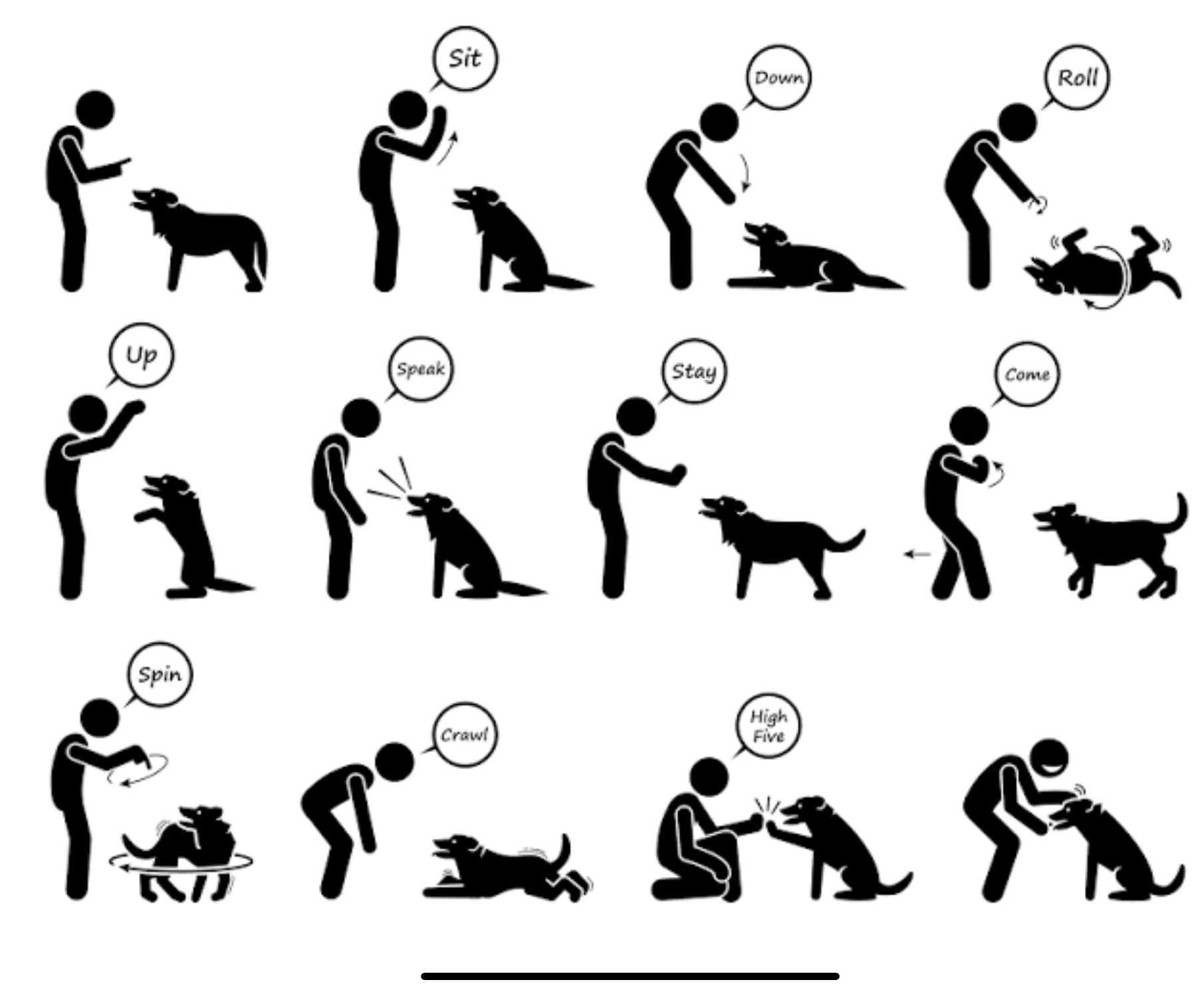 Loving Paws LLC Kenosha