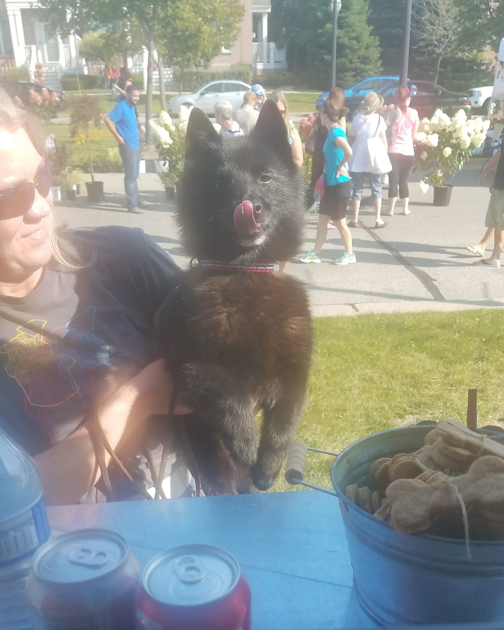 Pawlie's Pet Care Kenosha