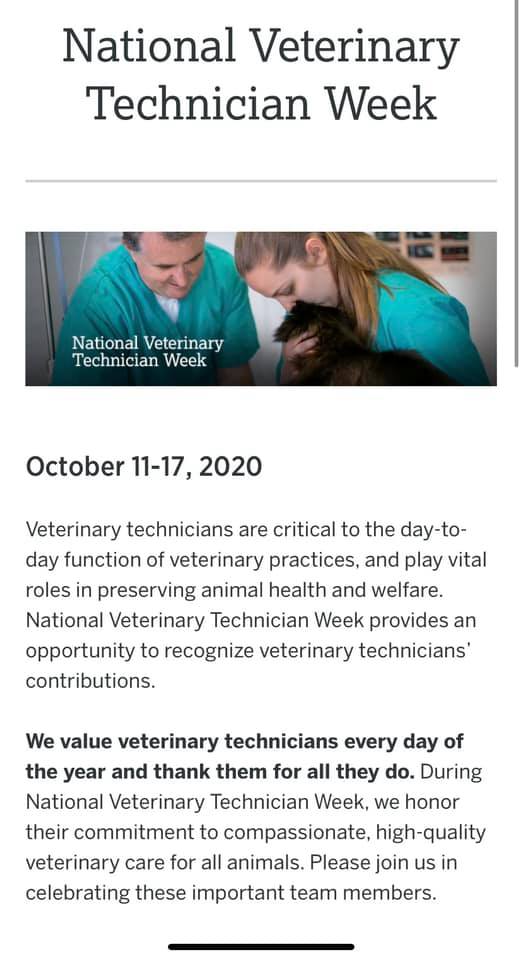 Associated Veterinary Clinic: Pipho William DVM 165 Douglas St, Ripon Wisconsin 54971