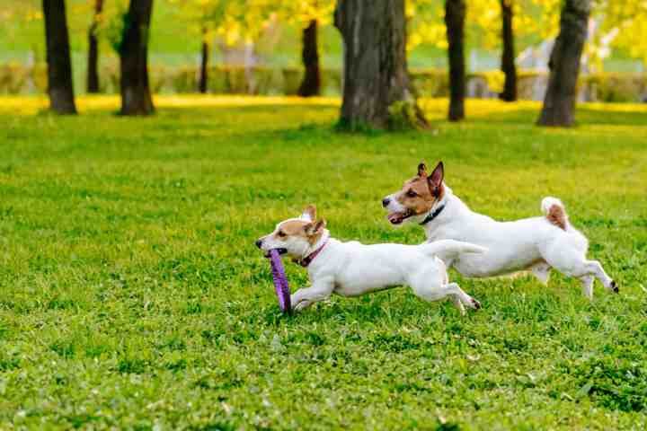 Photo credit: 
