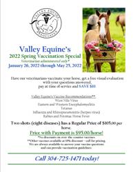 Valley Equine Associates PLLC: Eyles Jill C DVM